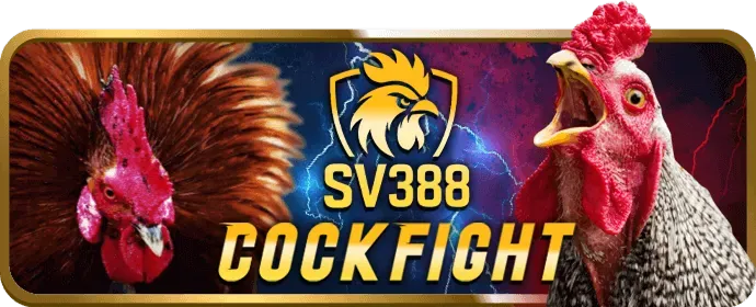 Các trò chơi Moto88